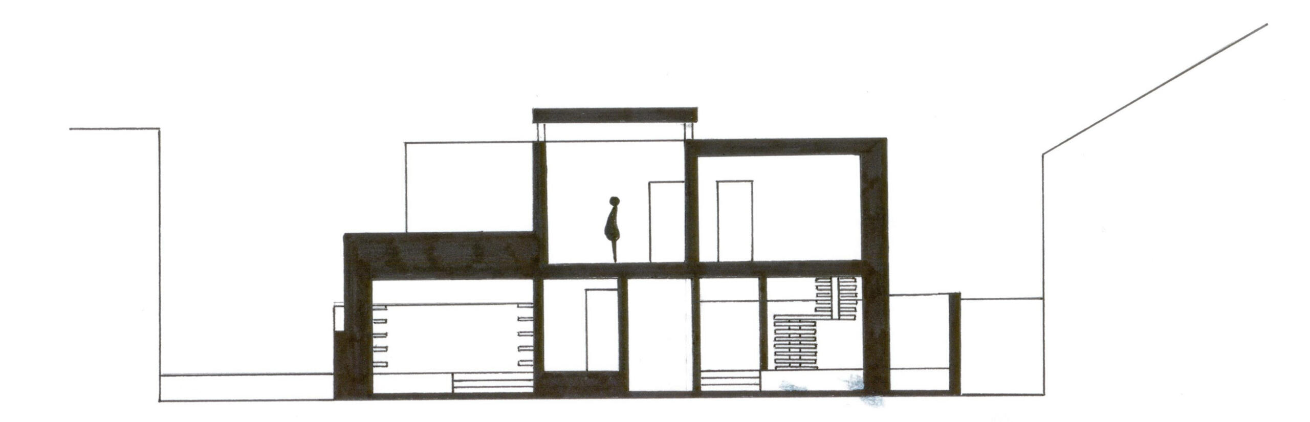 LONGITUDINAL SECTION